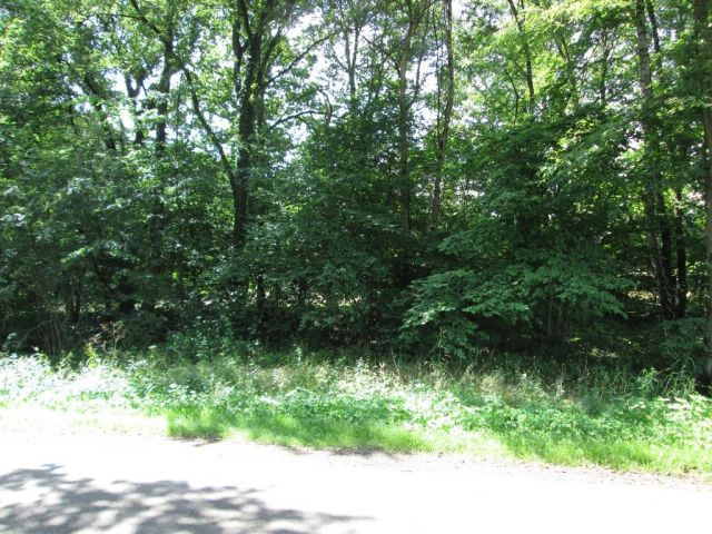 Blick auf Verkaufsfläche - Vertragsfreie Gehölzfläche ca. 18 km nördlich von Osnabrück