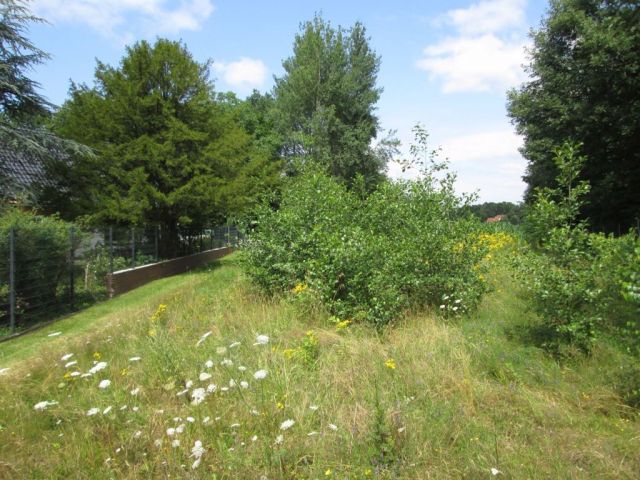 Blick auf Verkaufsfläche und Umgebung - Kleine Grünlandfläche ca. 18 km nördlich von Osnabrück