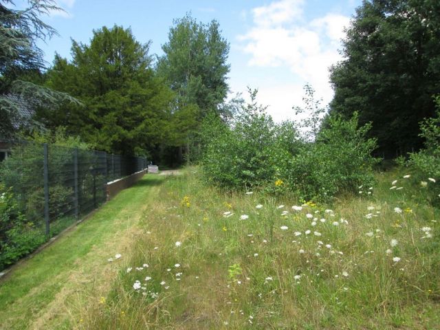Blick auf Verkaufsfläche und Umgebung - Kleine Grünlandfläche ca. 18 km nördlich von Osnabrück