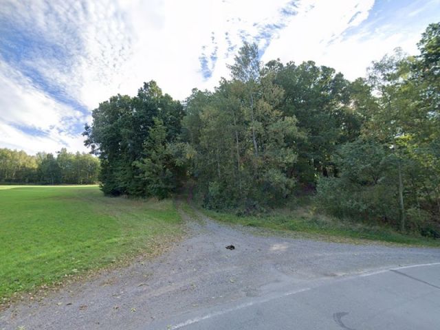 Blick auf Verkaufsfläche und Umgebung - Waldfläche südöstlich von Gera