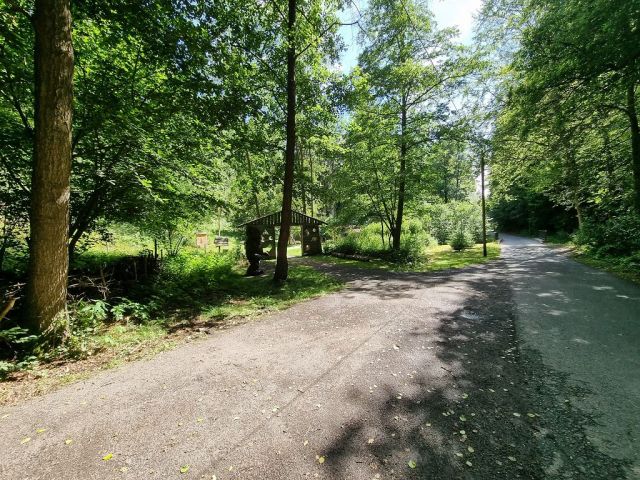 Blick auf angrenzenden Waldspielplatz 