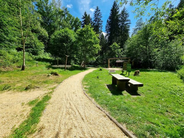 Blick auf angrenzenden Waldspielplatz  - Zwei bewaldete Flächen am ´Zeitzbach´