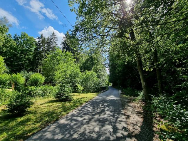 Blick Richtung Verkaufsflurstück 610 und die Umgebung - Zwei bewaldete Flächen am ´Zeitzbach´