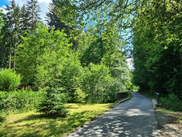 Blick Richtung Verkaufsflurstück 610 und die Umgebung - Zwei bewaldete Flächen am ´Zeitzbach´