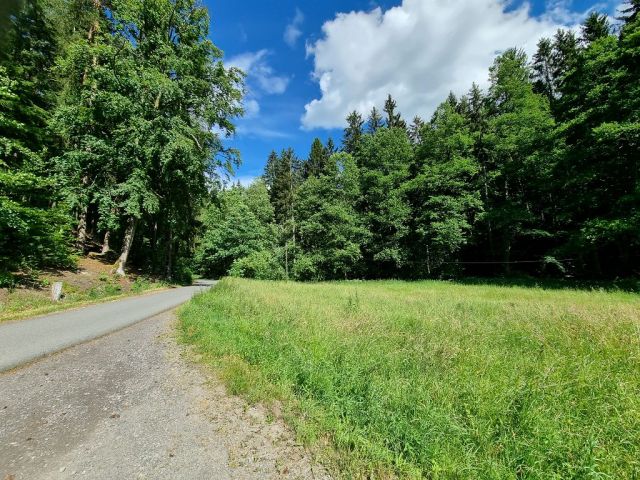 Blick Richtung Verkaufsflurstück 610 und die Umgebung - Zwei bewaldete Flächen am ´Zeitzbach´