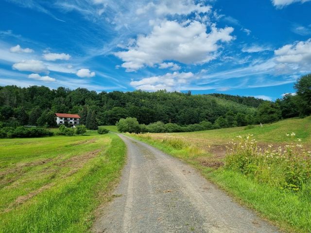 Blick auf Umgebung und Richtung Verkaufsfläche - Holzungsfläche innerhalb eines größeren Waldgebietes ca. 12 km westlich von Coburg