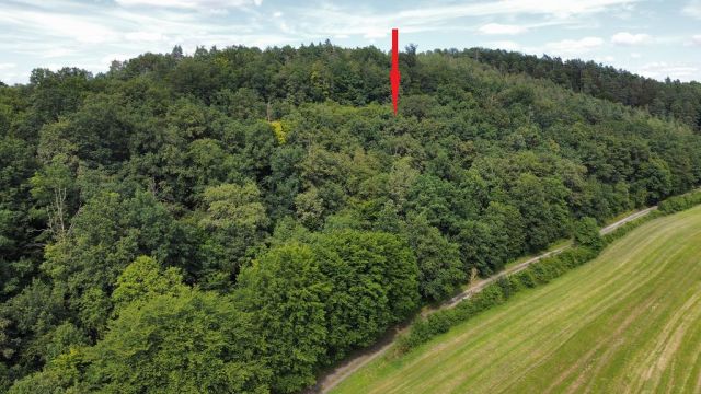 Blick auf größeres Waldgebiet und ungefähre Lage der Verkaufsfläche - Holzungsfläche innerhalb eines größeren Waldgebietes ca. 12 km westlich von Coburg