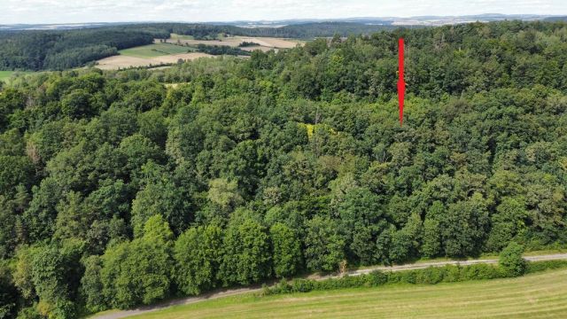 Blick auf größeres Waldgebiet und ungefähre Lage der Verkaufsfläche - Holzungsfläche innerhalb eines größeren Waldgebietes ca. 12 km westlich von Coburg