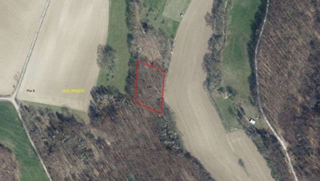 Lageskizze - Waldfläche im südlichen Harzvorland