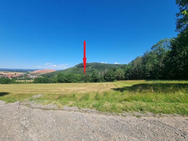 Blick auf ungefähre Lage der Verkaufsfläche und die Umgebung - Waldfläche im südlichen Harzvorland