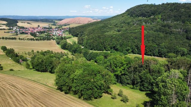 Blick auf Verkaufsfläche und Umgebung - Waldfläche im südlichen Harzvorland