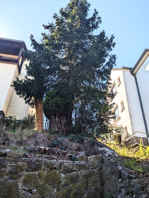 Verkaufsfläche und Umgebung - Kleines Grundstück zwischen Wohnhäusern **teilweise bebaut mit einer Begrenzungsmauer**