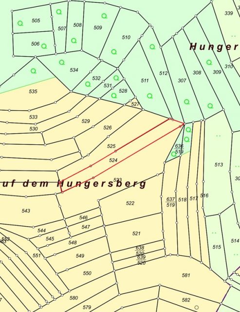 Lageskizze Flurstück 524 - 5 teilweise bestockte Landwirtschafts-/Grünlandflächen in Streulage von Nanzenbach im Lahn-Dill-Kreis