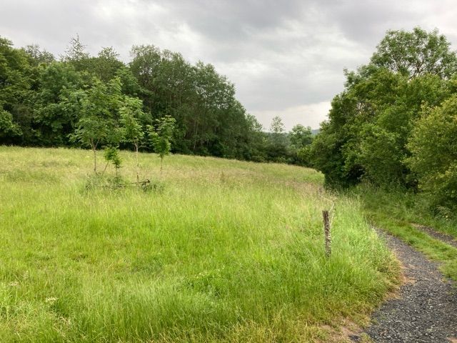 Blick auf Umgebung Flurstück 342 - 5 teilweise bestockte Landwirtschafts-/Grünlandflächen in Streulage von Nanzenbach im Lahn-Dill-Kreis