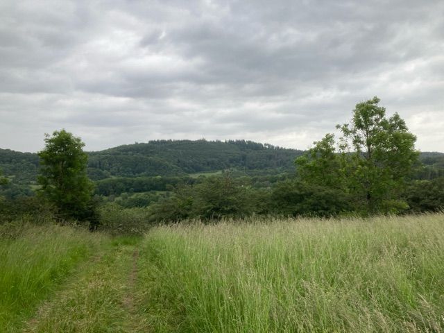 Blick auf Umgebung Flurstück 235 - 5 teilweise bestockte Landwirtschafts-/Grünlandflächen in Streulage von Nanzenbach im Lahn-Dill-Kreis
