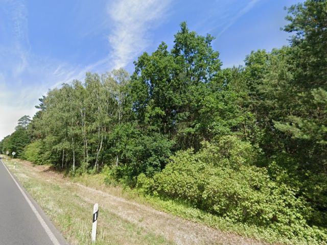 Blick auf Verkaufsfläche und Umgebung - Waldfläche an der B102 im Fläming