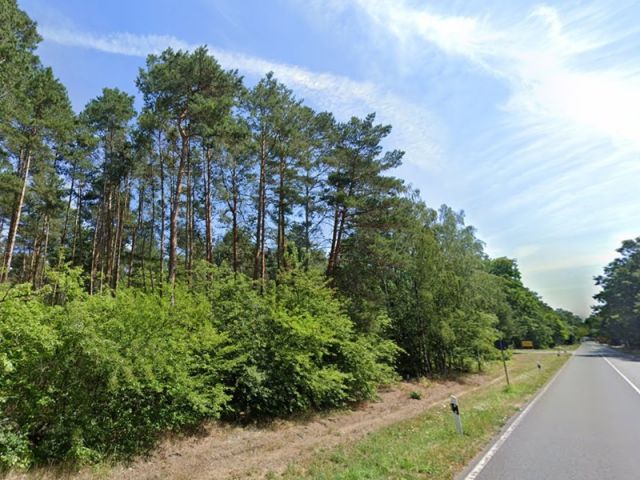 Blick auf Verkaufsfläche und Umgebung - Waldfläche an der B102 im Fläming