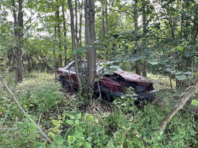 Blick auf Verkaufsfläche und altem Autowrack - Ehemaliges Bahnwärterhaus im Oberlausitzer Bergland und direkt an der Tschechischen Landesgrenze