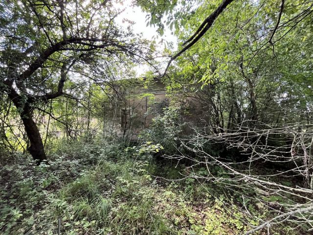 Blick auf Verkaufsobjekt - Ehemaliges Bahnwärterhaus im Oberlausitzer Bergland und direkt an der Tschechischen Landesgrenze