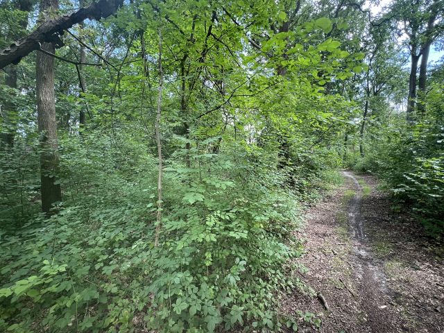 Weg an der südlichen Grundstücksgrenze Flurstück 7 der Flur 5 - Grundstück (etwa 4,1 ha Grundstücksgröße) direkt an der Kleingartenanlage Heideteich sowie diverse Splitterflächen