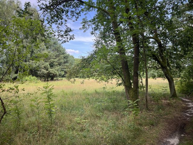 Flurstück 7 der Flur 5 - Grundstück (etwa 4,1 ha Grundstücksgröße) direkt an der Kleingartenanlage Heideteich sowie diverse Splitterflächen