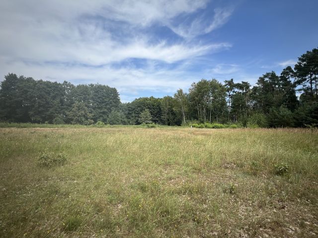 Blick auf das Flurstück 7 der Flur 5 - Grundstück (etwa 4,1 ha Grundstücksgröße) direkt an der Kleingartenanlage Heideteich sowie diverse Splitterflächen