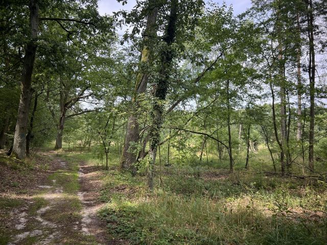 Blick auf das Flurstück 7 der Flur 5 - Grundstück (etwa 4,1 ha Grundstücksgröße) direkt an der Kleingartenanlage Heideteich sowie diverse Splitterflächen