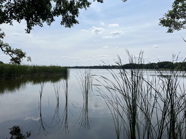 Mellensee - Grundstück (etwa 4,1 ha Grundstücksgröße) direkt an der Kleingartenanlage Heideteich sowie diverse Splitterflächen