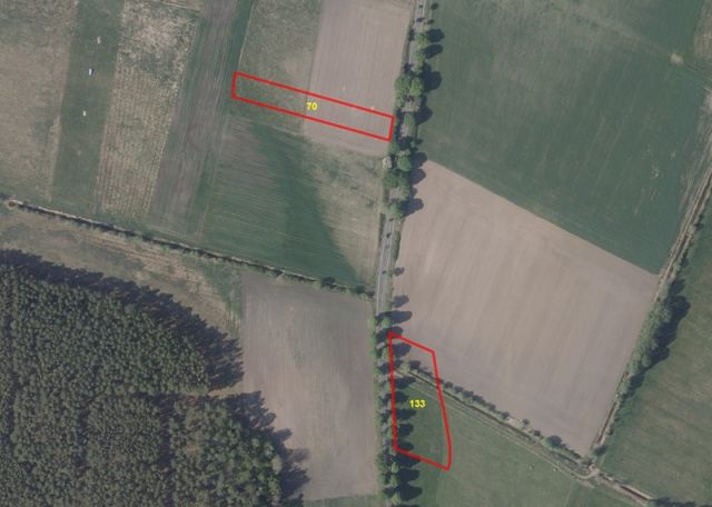 Lageskizze Flurstücke 133 und 70 - 5 Flächen in Bardenitz im Fläming -- Landwirtschafts-, Wald-, Wege- und Wasserflächen
