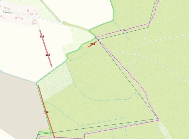 Lageskizze Flurstücke 215, 225, 235 und 238 - 5 Flächen in Bardenitz im Fläming -- Landwirtschafts-, Wald-, Wege- und Wasserflächen