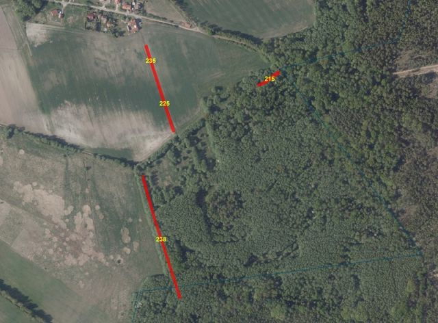 Lageskizze Flurstücke 215, 225, 235 und 238 - 5 Flächen in Bardenitz im Fläming -- Landwirtschafts-, Wald-, Wege- und Wasserflächen