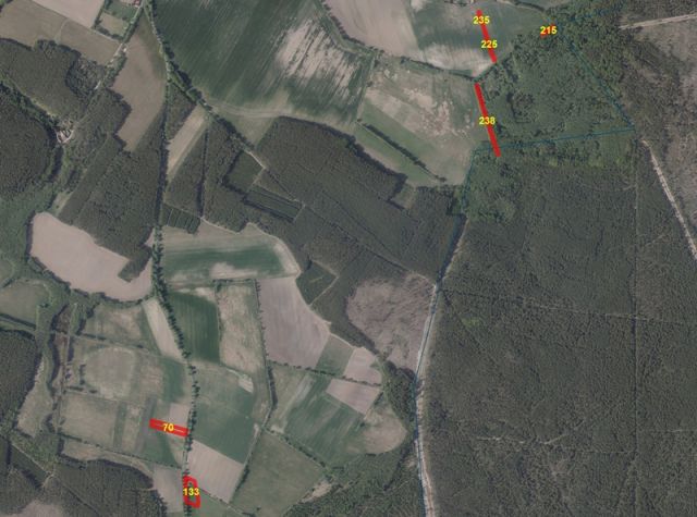 Umgebungsskizze - 5 Flächen in Bardenitz im Fläming -- Landwirtschafts-, Wald-, Wege- und Wasserflächen