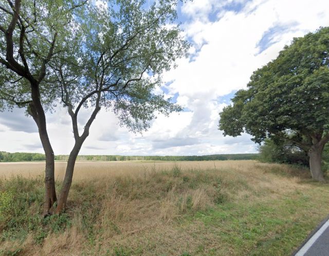Blick Richtung Flurstück 70 und auf die Umgebung - 5 Flächen in Bardenitz im Fläming -- Landwirtschafts-, Wald-, Wege- und Wasserflächen