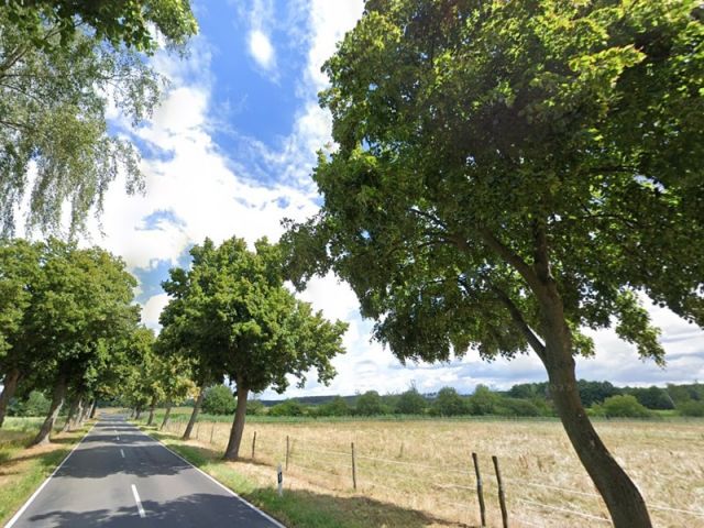 Blick auf Flurstück 133 und die Umgebung - 5 Flächen in Bardenitz im Fläming -- Landwirtschafts-, Wald-, Wege- und Wasserflächen