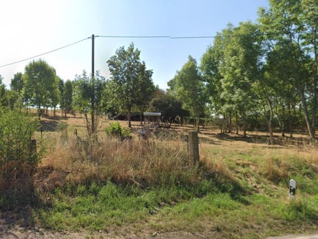 Blick auf Verkaufsfläche und Umgebung - Unbebautes Grundstück partiell mit Gehölzbewuchs östlich des ‚Penkwitzer See‘