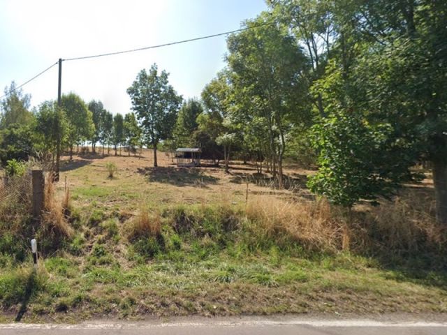 Blick Richtung Verkaufsfläche und auf die Umgebung - Unbebautes Grundstück partiell mit Gehölzbewuchs östlich des ‚Penkwitzer See‘