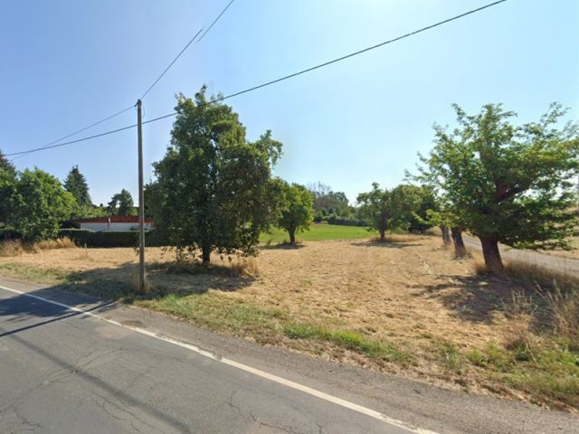 Blick auf Verkaufsfläche und Umgebung - Vertragsfreie Grünfläche mit partiellem Baumbewuchs im Randbereich eines Areals mit Erholungsgärten östlich des ‚Penkwitzer See‘