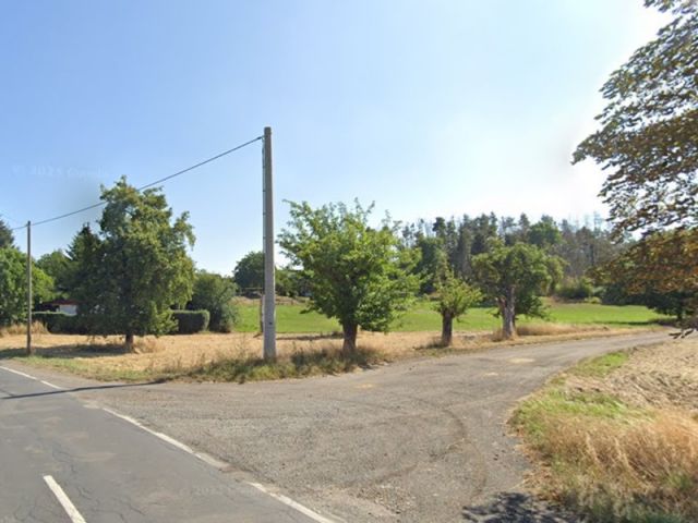 Blick auf Verkaufsfläche und Umgebung und die Zuwegung von der Meuselwitzer Straße - Vertragsfreie Grünfläche mit partiellem Baumbewuchs im Randbereich eines Areals mit Erholungsgärten östlich des ‚Penkwitzer See‘