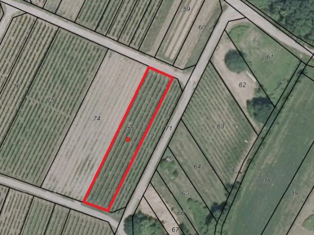 Lageskizze mit Luftbildunterlegung - Weinberg mit der Rebsorte Dornfelder in Eigenbewirtschaftung südwestlich der Mosel **sofortige Nutzung möglich**