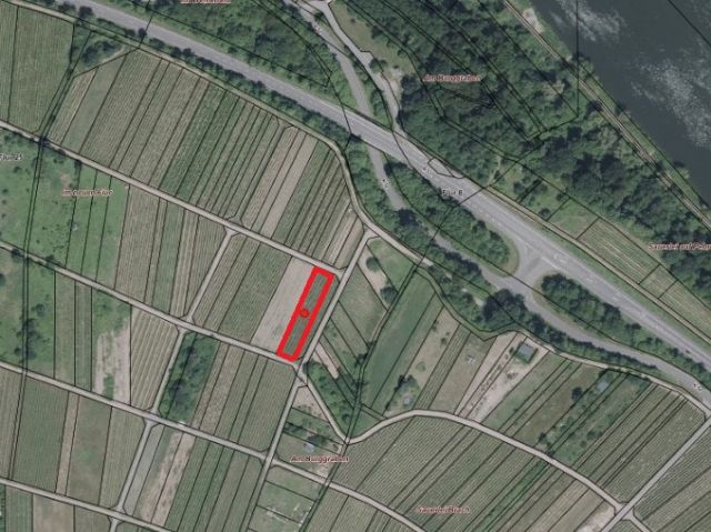 Lageskizze mit Umgebung und Luftbildunterlegung - Weinberg mit der Rebsorte Dornfelder in Eigenbewirtschaftung südwestlich der Mosel **sofortige Nutzung möglich**