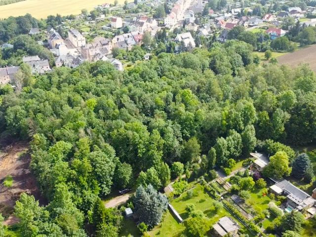 Verkaufsgegenstand und Umgebung - Vertragsfreie Waldfläche **zentrumsnah unweit des Bahnhofes gelegen**