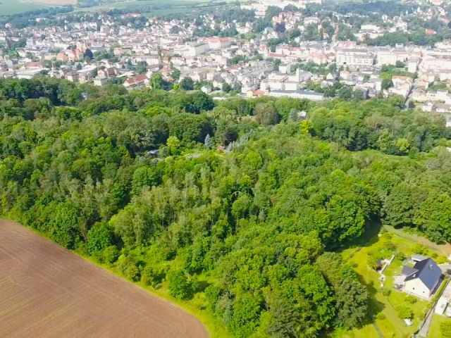 Verkaufsgegenstand und Umgebung - Vertragsfreie Waldfläche **zentrumsnah unweit des Bahnhofes gelegen**