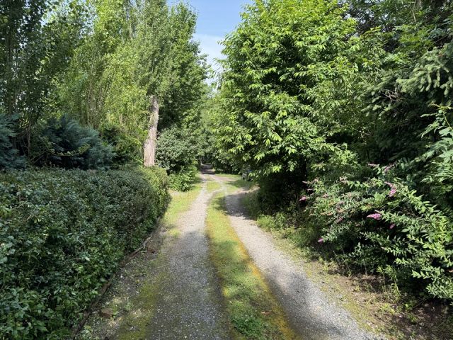 Zuwegung - Vertragsfreie Waldfläche **zentrumsnah unweit des Bahnhofes gelegen**