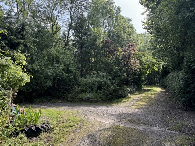 Umgebung - Vertragsfreie Waldfläche **zentrumsnah unweit des Bahnhofes gelegen**