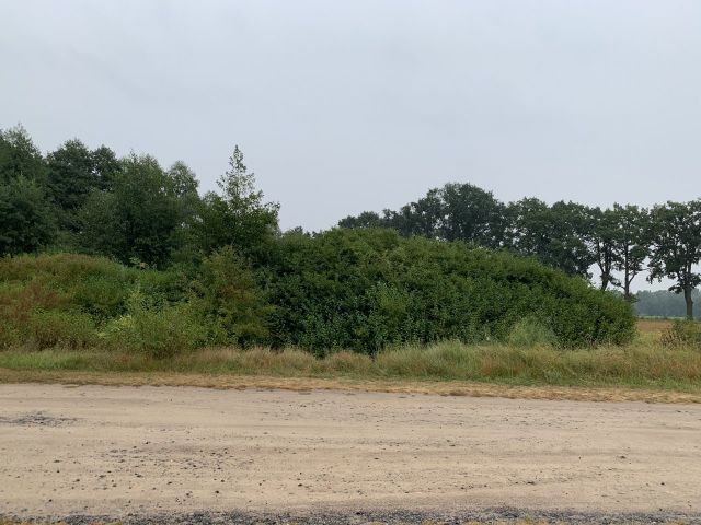 Verkaufsfläche und Umgebung - Vertragsfreie Waldfläche nahe dem Baggersee & dem Schloss Gusow