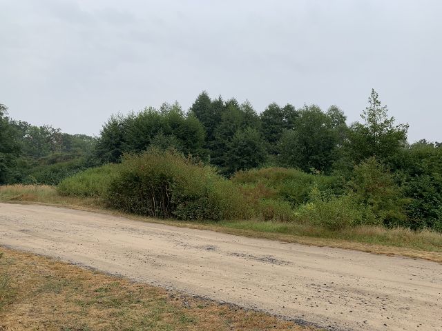 Vertragsfreie Waldfläche nahe dem Baggersee & dem Schloss Gusow