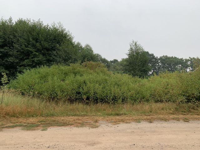 Verkaufsfläche und Umgebung - Vertragsfreie Waldfläche nahe dem Baggersee & dem Schloss Gusow
