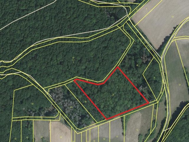 Lageskizze mit Luftbildunterlegung - Vertragsfreier Eschenwald etwa 35 km von der Innenstadt Kassels entfernt
