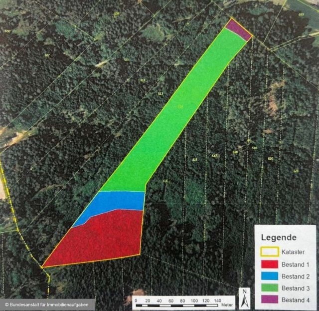 Bestandsarten - Über 3 ha Wald in der mittelfränkischen Metropolregion Nürnberg **vertragsfrei**