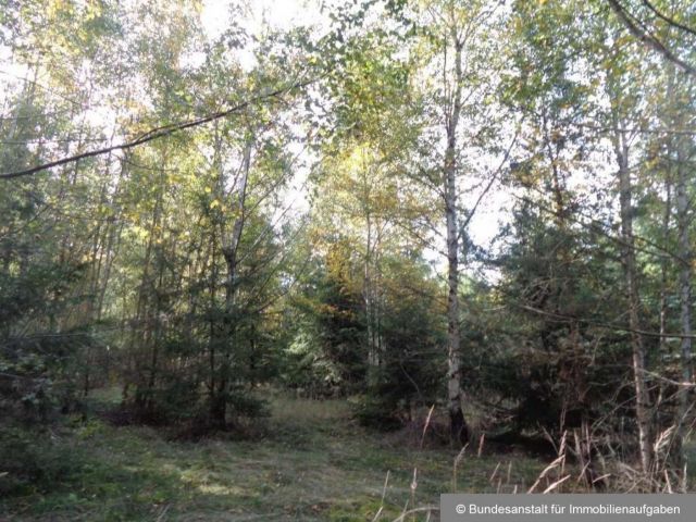 Mischbestand - Über 3 ha Wald in der mittelfränkischen Metropolregion Nürnberg **vertragsfrei**